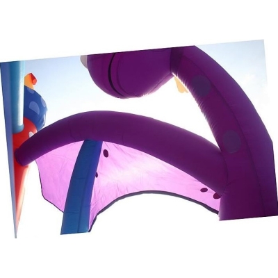 Luxusní dračí skákací hrad, Happy Hop 9022